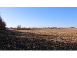 Property photo 76 - FARMLAND AUCTION - 332.9+/- ACRES OFFERED IN 5 TRACTS IN CASS COUNTY, NEBRASKA