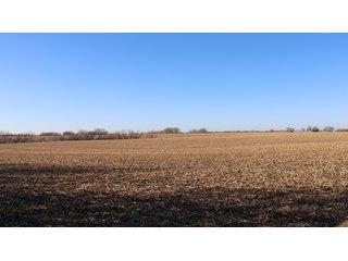 Property photo 77 - FARMLAND AUCTION - 332.9+/- ACRES OFFERED IN 5 TRACTS IN CASS COUNTY, NEBRASKA