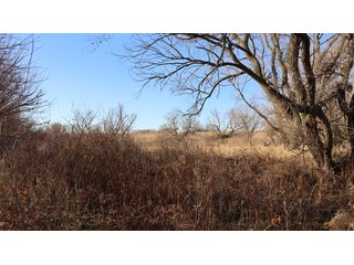 Property photo 88 - FARMLAND AUCTION - 332.9+/- ACRES OFFERED IN 5 TRACTS IN CASS COUNTY, NEBRASKA
