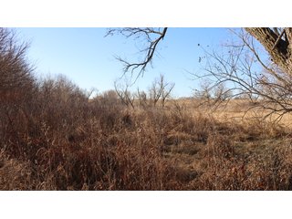 Property photo 89 - FARMLAND AUCTION - 332.9+/- ACRES OFFERED IN 5 TRACTS IN CASS COUNTY, NEBRASKA