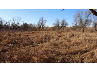 Property photo 90 - FARMLAND AUCTION - 332.9+/- ACRES OFFERED IN 5 TRACTS IN CASS COUNTY, NEBRASKA