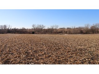 Property photo 91 - FARMLAND AUCTION - 332.9+/- ACRES OFFERED IN 5 TRACTS IN CASS COUNTY, NEBRASKA