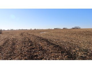 Property photo 93 - FARMLAND AUCTION - 332.9+/- ACRES OFFERED IN 5 TRACTS IN CASS COUNTY, NEBRASKA