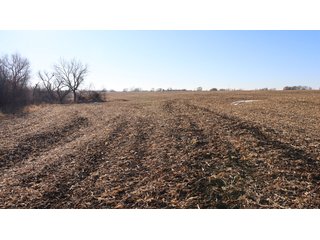 Property photo 94 - FARMLAND AUCTION - 332.9+/- ACRES OFFERED IN 5 TRACTS IN CASS COUNTY, NEBRASKA