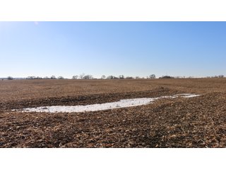 Property photo 95 - FARMLAND AUCTION - 332.9+/- ACRES OFFERED IN 5 TRACTS IN CASS COUNTY, NEBRASKA