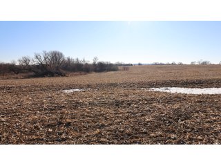 Property photo 96 - FARMLAND AUCTION - 332.9+/- ACRES OFFERED IN 5 TRACTS IN CASS COUNTY, NEBRASKA