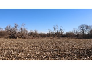 Property photo 97 - FARMLAND AUCTION - 332.9+/- ACRES OFFERED IN 5 TRACTS IN CASS COUNTY, NEBRASKA