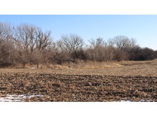 Property photo 98 - FARMLAND AUCTION - 332.9+/- ACRES OFFERED IN 5 TRACTS IN CASS COUNTY, NEBRASKA
