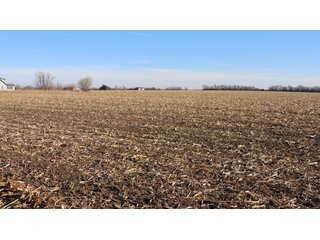 Property photo 99 - FARMLAND AUCTION - 332.9+/- ACRES OFFERED IN 5 TRACTS IN CASS COUNTY, NEBRASKA