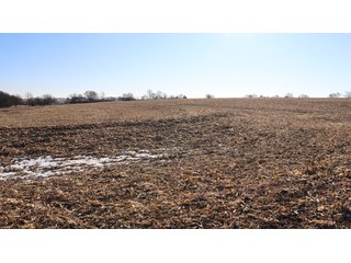 Property photo 106 - FARMLAND AUCTION - 332.9+/- ACRES OFFERED IN 5 TRACTS IN CASS COUNTY, NEBRASKA