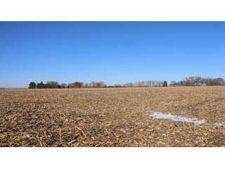 Property photo 114 - FARMLAND AUCTION - 332.9+/- ACRES OFFERED IN 5 TRACTS IN CASS COUNTY, NEBRASKA