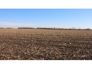 Property photo 116 - FARMLAND AUCTION - 332.9+/- ACRES OFFERED IN 5 TRACTS IN CASS COUNTY, NEBRASKA