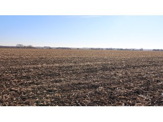 Property photo 117 - FARMLAND AUCTION - 332.9+/- ACRES OFFERED IN 5 TRACTS IN CASS COUNTY, NEBRASKA