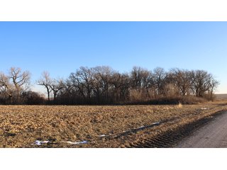 Property photo 127 - FARMLAND AUCTION - 332.9+/- ACRES OFFERED IN 5 TRACTS IN CASS COUNTY, NEBRASKA