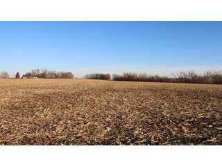 Property photo 128 - FARMLAND AUCTION - 332.9+/- ACRES OFFERED IN 5 TRACTS IN CASS COUNTY, NEBRASKA