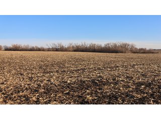 Property photo 129 - FARMLAND AUCTION - 332.9+/- ACRES OFFERED IN 5 TRACTS IN CASS COUNTY, NEBRASKA