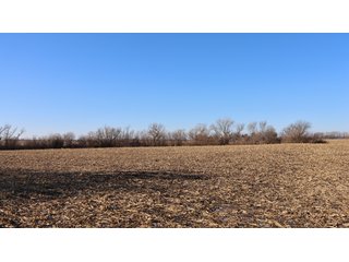 Property photo 134 - FARMLAND AUCTION - 332.9+/- ACRES OFFERED IN 5 TRACTS IN CASS COUNTY, NEBRASKA