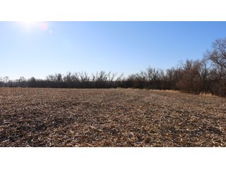 Property photo 135 - FARMLAND AUCTION - 332.9+/- ACRES OFFERED IN 5 TRACTS IN CASS COUNTY, NEBRASKA