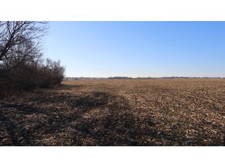 Property photo 136 - FARMLAND AUCTION - 332.9+/- ACRES OFFERED IN 5 TRACTS IN CASS COUNTY, NEBRASKA