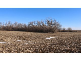 Property photo 137 - FARMLAND AUCTION - 332.9+/- ACRES OFFERED IN 5 TRACTS IN CASS COUNTY, NEBRASKA