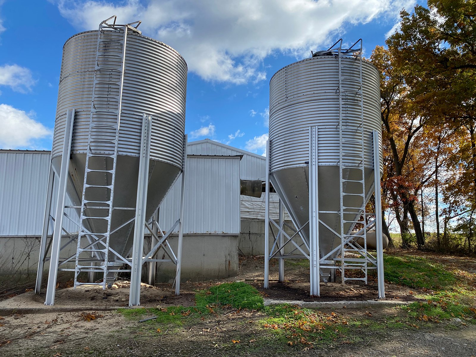 Property photo 14 - TIMED ONLINE ONLY REAL ESTATE AUCTION - 23+/- ACRES OFFERED IN 3 TRACTS IN ST JOSEPH COUNTY, MICHIGAN