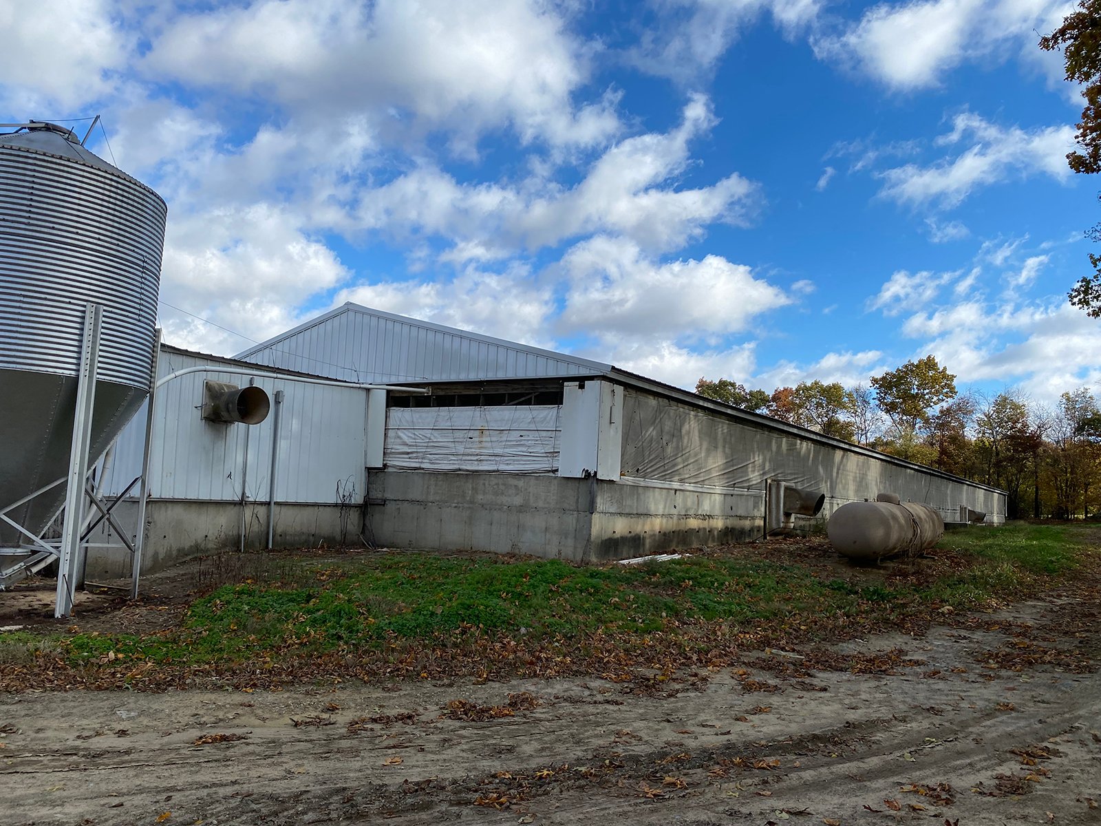 Property photo 13 - TIMED ONLINE ONLY REAL ESTATE AUCTION - 23+/- ACRES OFFERED IN 3 TRACTS IN ST JOSEPH COUNTY, MICHIGAN