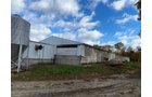 Property photo 13 - TIMED ONLINE ONLY REAL ESTATE AUCTION - 23+/- ACRES OFFERED IN 3 TRACTS IN ST JOSEPH COUNTY, MICHIGAN