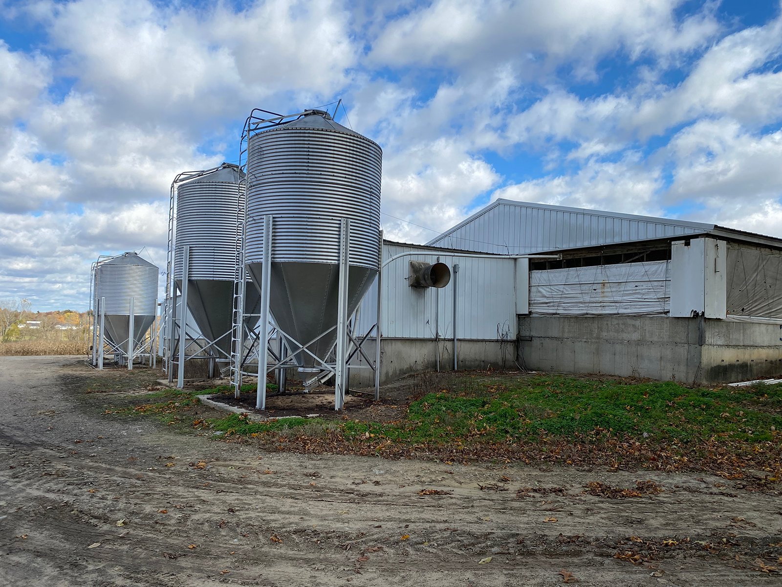 Property photo 12 - TIMED ONLINE ONLY REAL ESTATE AUCTION - 23+/- ACRES OFFERED IN 3 TRACTS IN ST JOSEPH COUNTY, MICHIGAN