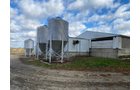 Property photo 12 - TIMED ONLINE ONLY REAL ESTATE AUCTION - 23+/- ACRES OFFERED IN 3 TRACTS IN ST JOSEPH COUNTY, MICHIGAN