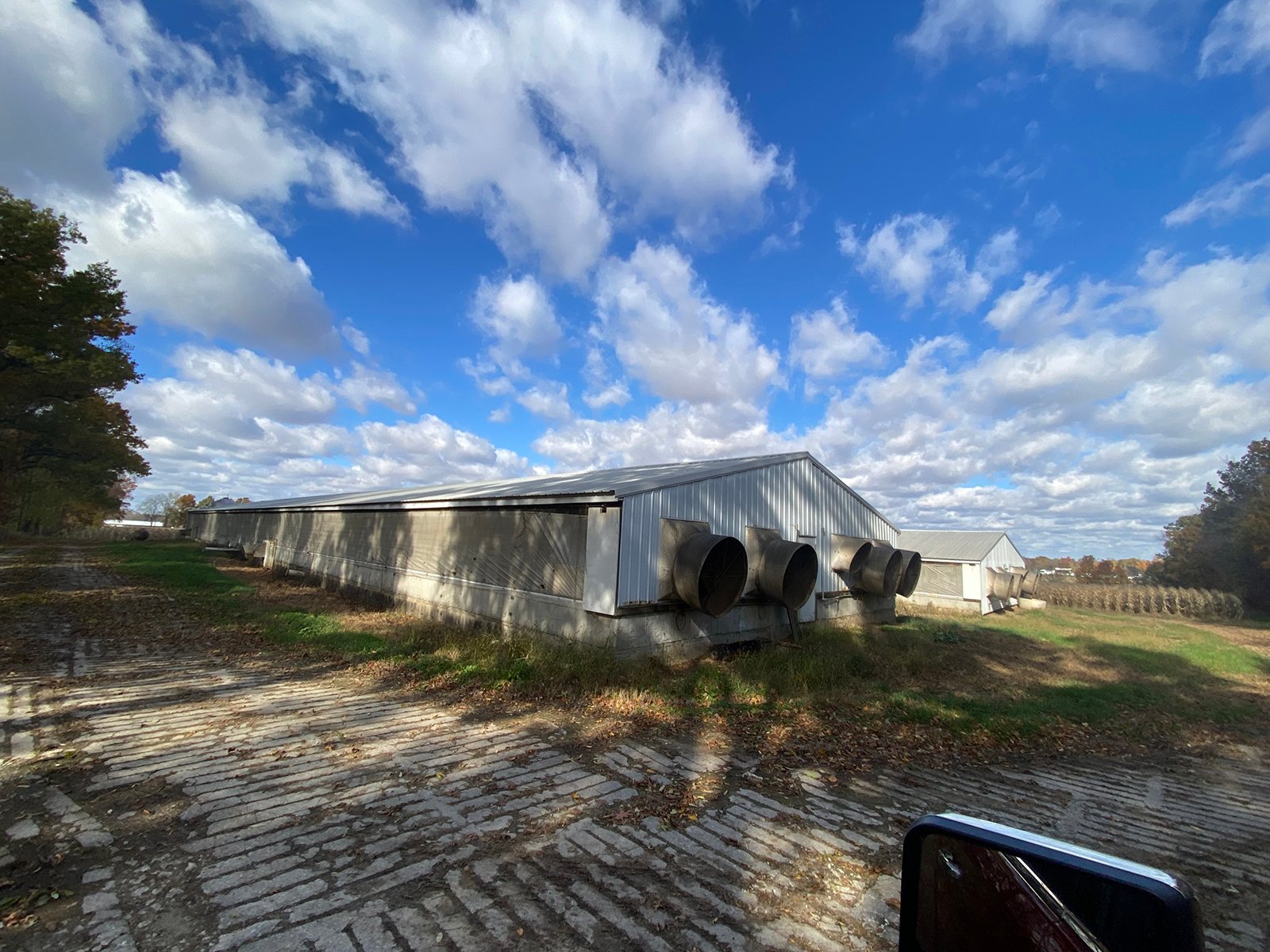 Property photo 11 - TIMED ONLINE ONLY REAL ESTATE AUCTION - 23+/- ACRES OFFERED IN 3 TRACTS IN ST JOSEPH COUNTY, MICHIGAN