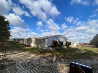 Property photo 11 - TIMED ONLINE ONLY REAL ESTATE AUCTION - 23+/- ACRES OFFERED IN 3 TRACTS IN ST JOSEPH COUNTY, MICHIGAN