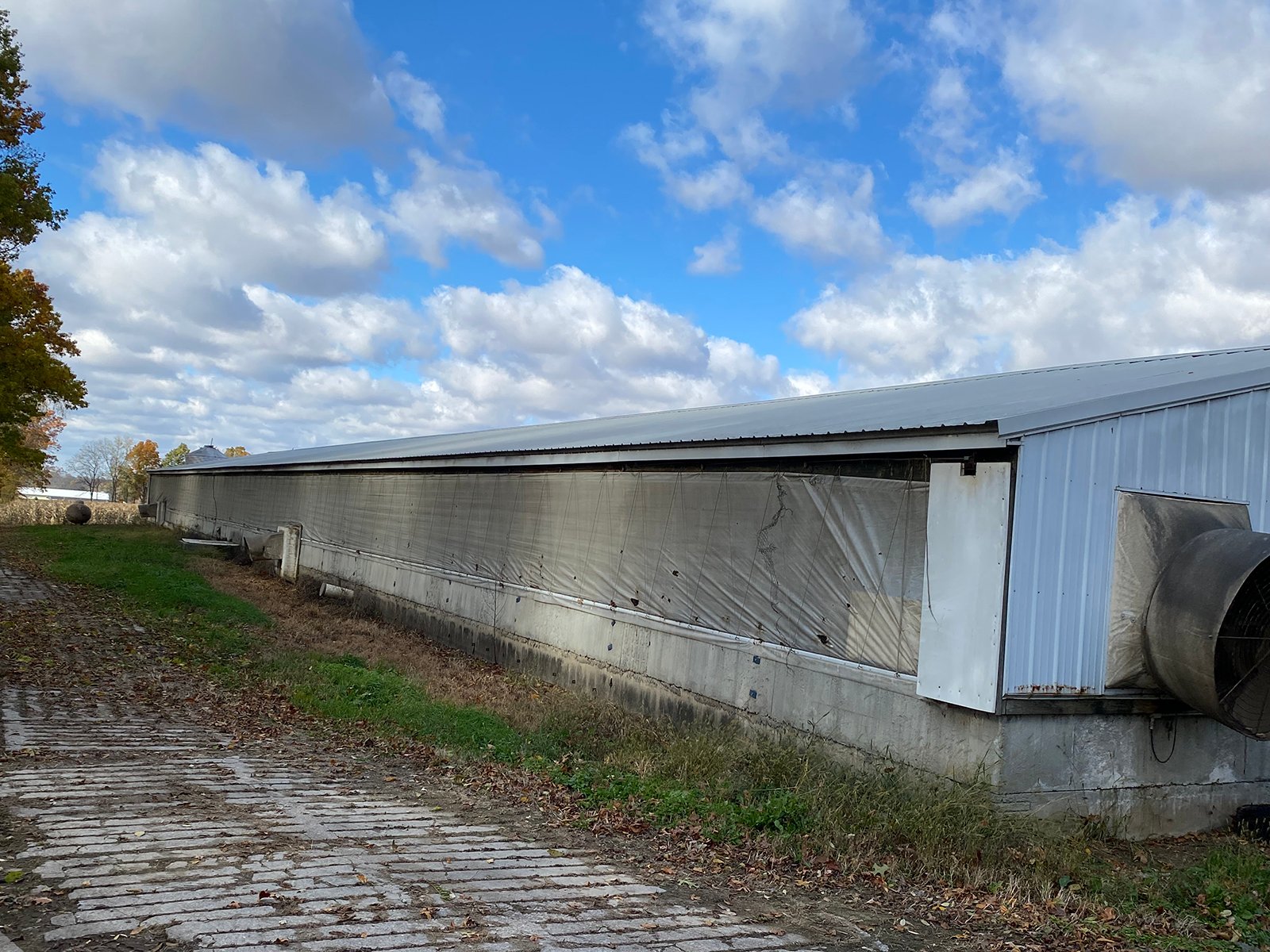 Property photo 10 - TIMED ONLINE ONLY REAL ESTATE AUCTION - 23+/- ACRES OFFERED IN 3 TRACTS IN ST JOSEPH COUNTY, MICHIGAN
