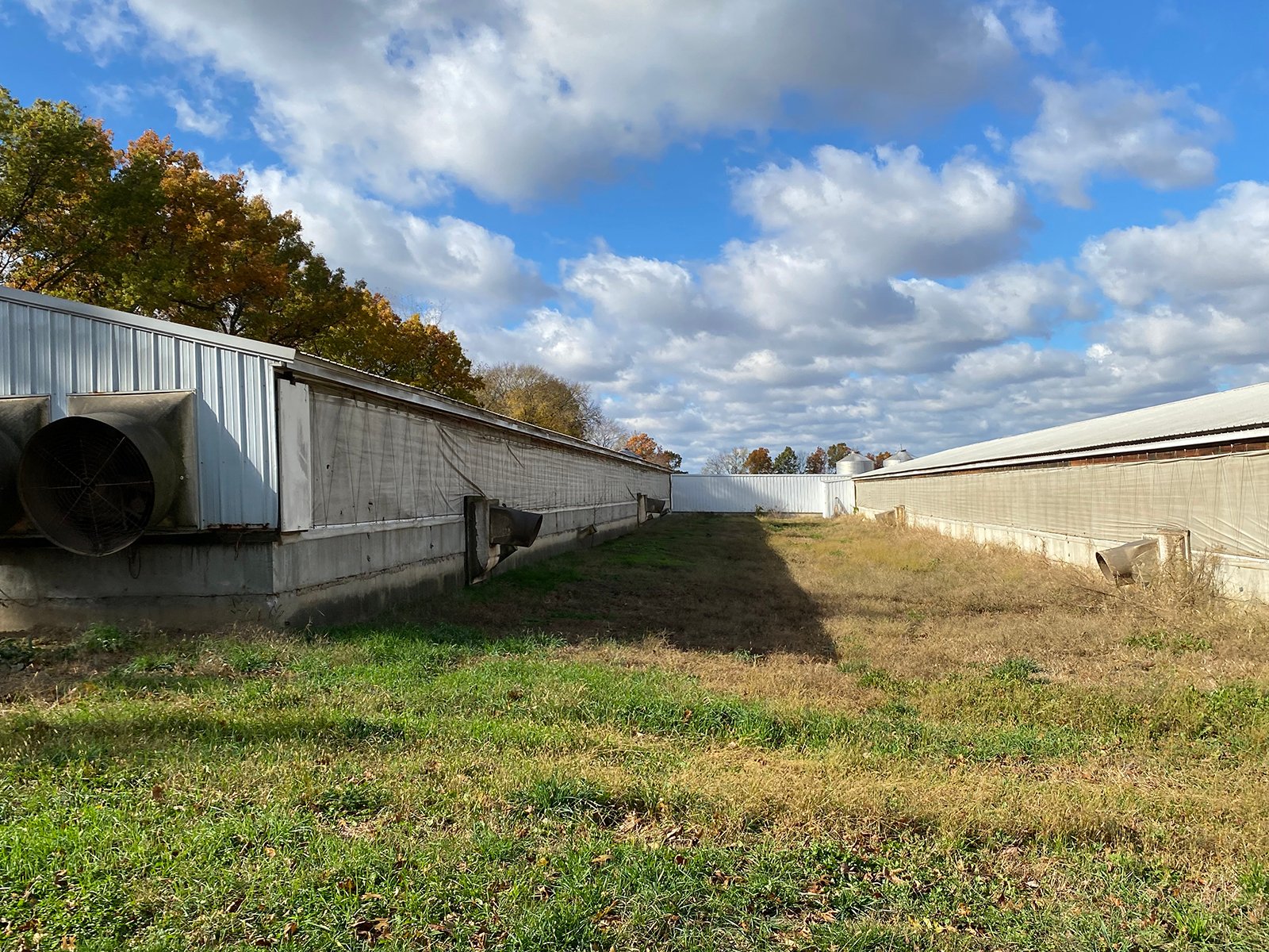 Property photo 5 - TIMED ONLINE ONLY REAL ESTATE AUCTION - 23+/- ACRES OFFERED IN 3 TRACTS IN ST JOSEPH COUNTY, MICHIGAN