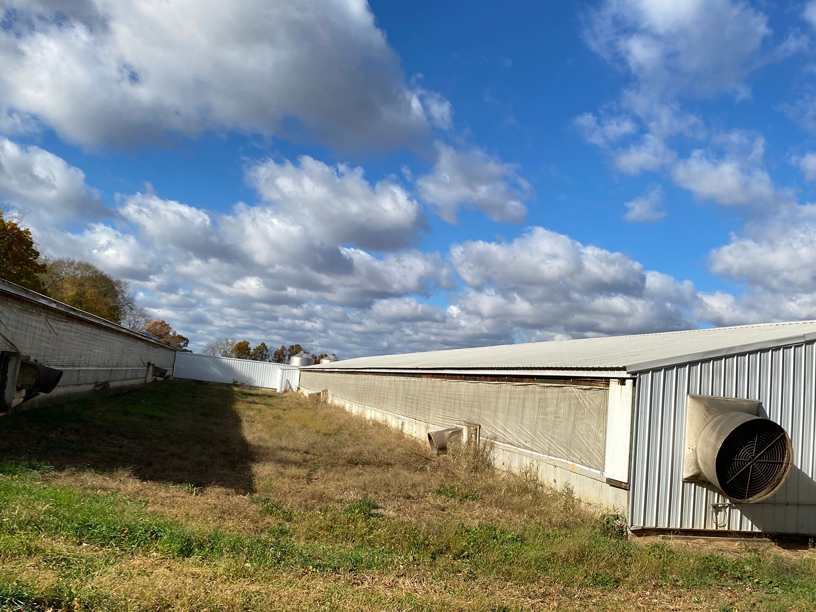 Property photo 9 - TIMED ONLINE ONLY REAL ESTATE AUCTION - 23+/- ACRES OFFERED IN 3 TRACTS IN ST JOSEPH COUNTY, MICHIGAN