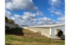 Property photo 9 - TIMED ONLINE ONLY REAL ESTATE AUCTION - 23+/- ACRES OFFERED IN 3 TRACTS IN ST JOSEPH COUNTY, MICHIGAN
