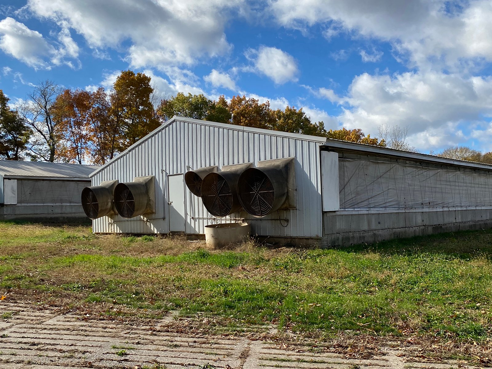 Property photo 8 - TIMED ONLINE ONLY REAL ESTATE AUCTION - 23+/- ACRES OFFERED IN 3 TRACTS IN ST JOSEPH COUNTY, MICHIGAN