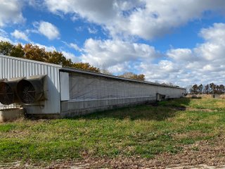 Property photo 7 - TIMED ONLINE ONLY REAL ESTATE AUCTION - 23+/- ACRES OFFERED IN 3 TRACTS IN ST JOSEPH COUNTY, MICHIGAN