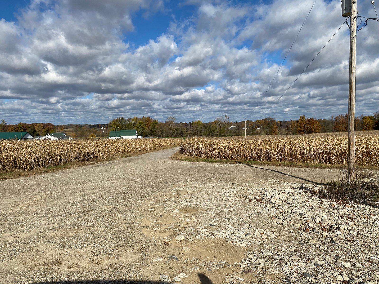 Property photo 4 - TIMED ONLINE ONLY REAL ESTATE AUCTION - 23+/- ACRES OFFERED IN 3 TRACTS IN ST JOSEPH COUNTY, MICHIGAN