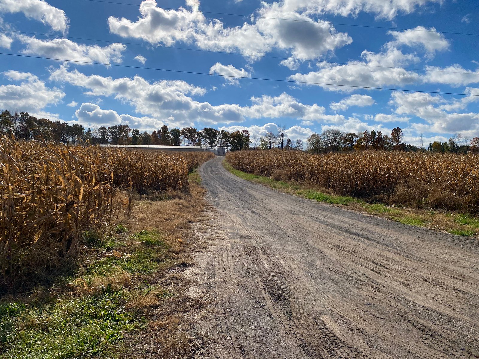 Property photo 1 - TIMED ONLINE ONLY REAL ESTATE AUCTION - 23+/- ACRES OFFERED IN 3 TRACTS IN ST JOSEPH COUNTY, MICHIGAN
