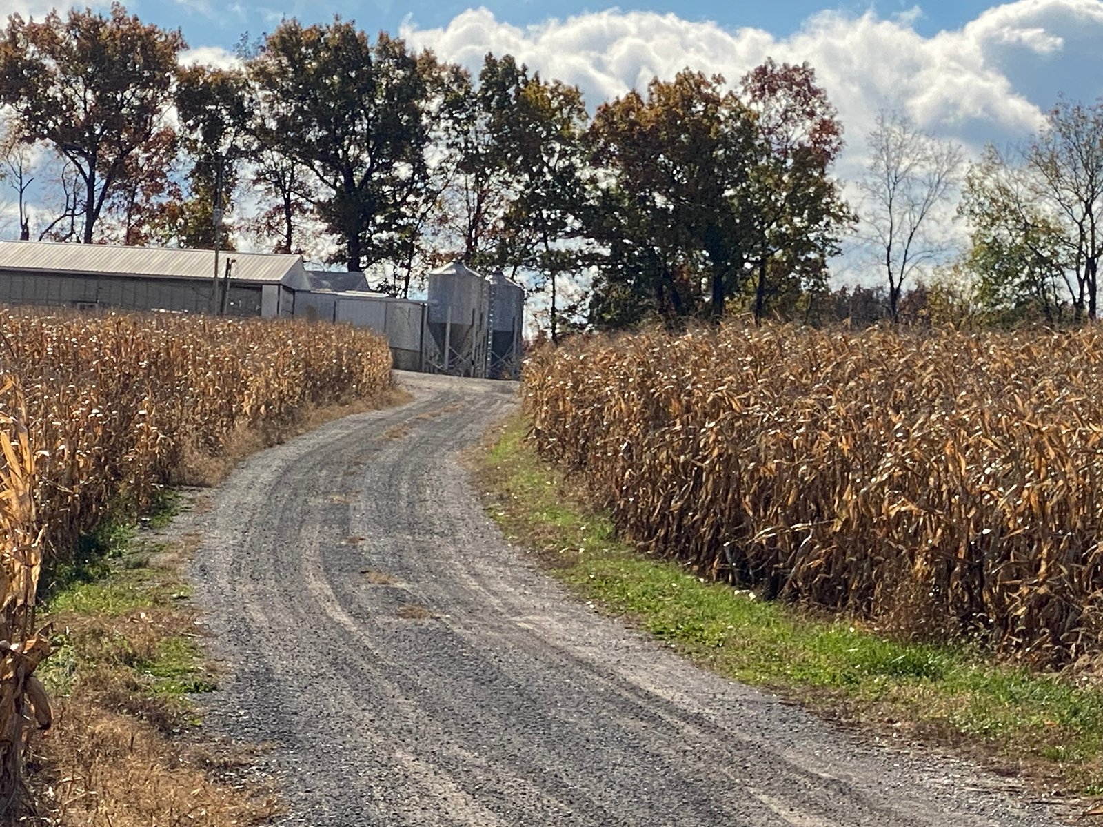 Property photo 3 - TIMED ONLINE ONLY REAL ESTATE AUCTION - 23+/- ACRES OFFERED IN 3 TRACTS IN ST JOSEPH COUNTY, MICHIGAN