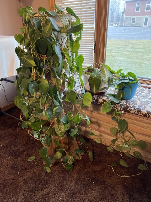 Property photo 189 - TIMED ONLINE ONLY PERSONAL PROPERTY AUCTION IN ALLEN COUNTY, INDIANA