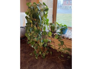 Property photo 189 - TIMED ONLINE ONLY PERSONAL PROPERTY AUCTION IN ALLEN COUNTY, INDIANA