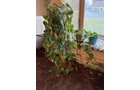 Property photo 189 - TIMED ONLINE ONLY PERSONAL PROPERTY AUCTION IN ALLEN COUNTY, INDIANA