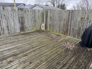 Property photo 8 - TIMED ONLINE ONLY REAL ESTATE AUCTION OFFERED IN 1 TRACT IN ADAMS COUNTY, INDIANA