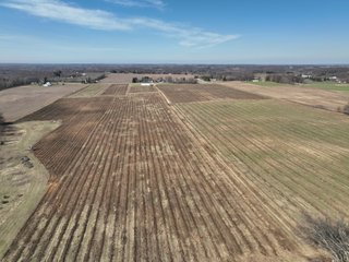 Property photo 5 - LAND AUCTION - 77+/-ACRES OFFERED IN 2 TRACTS IN BERRIEN COUNTY, MICHIGAN
