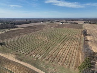 Property photo 6 - LAND AUCTION - 77+/-ACRES OFFERED IN 2 TRACTS IN BERRIEN COUNTY, MICHIGAN