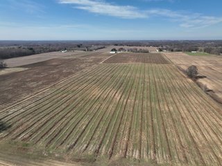 Property photo 7 - LAND AUCTION - 77+/-ACRES OFFERED IN 2 TRACTS IN BERRIEN COUNTY, MICHIGAN