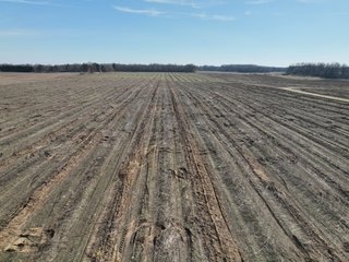 Property photo 9 - LAND AUCTION - 77+/-ACRES OFFERED IN 2 TRACTS IN BERRIEN COUNTY, MICHIGAN