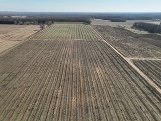 Property photo 10 - LAND AUCTION - 77+/-ACRES OFFERED IN 2 TRACTS IN BERRIEN COUNTY, MICHIGAN