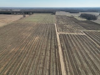Property photo 11 - LAND AUCTION - 77+/-ACRES OFFERED IN 2 TRACTS IN BERRIEN COUNTY, MICHIGAN